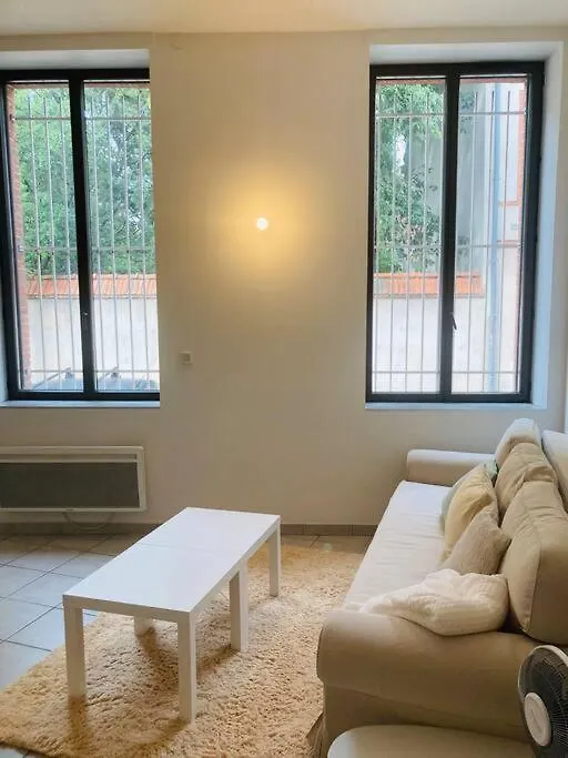 Appartement Superbe Studio Pres De La Gare. à Toulouse France